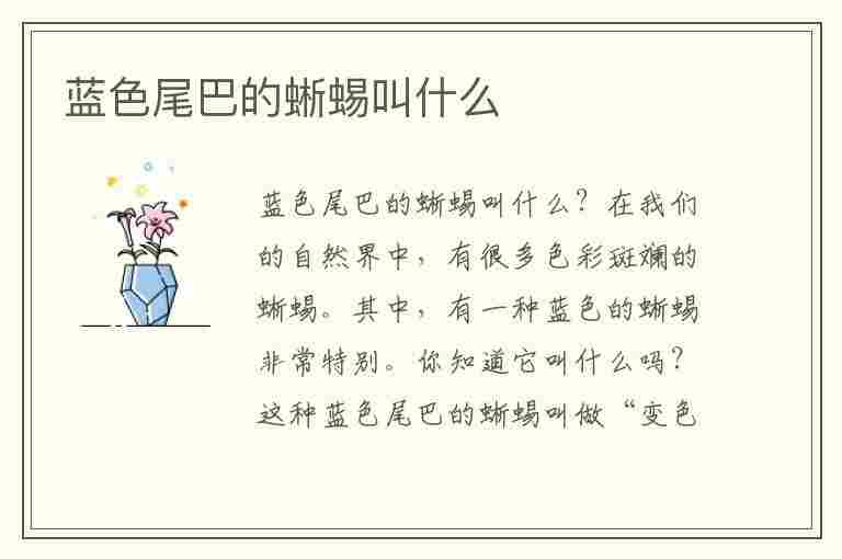 蓝色尾巴的蜥蜴叫什么(蓝色尾巴的蜥蜴叫什么名字)